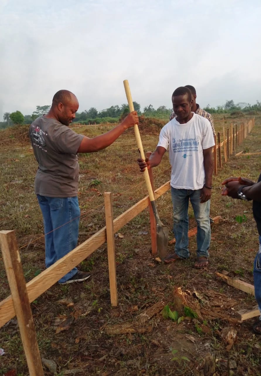 WhatsApp Image 2026-03-21 at 11.45.15 PM (1)