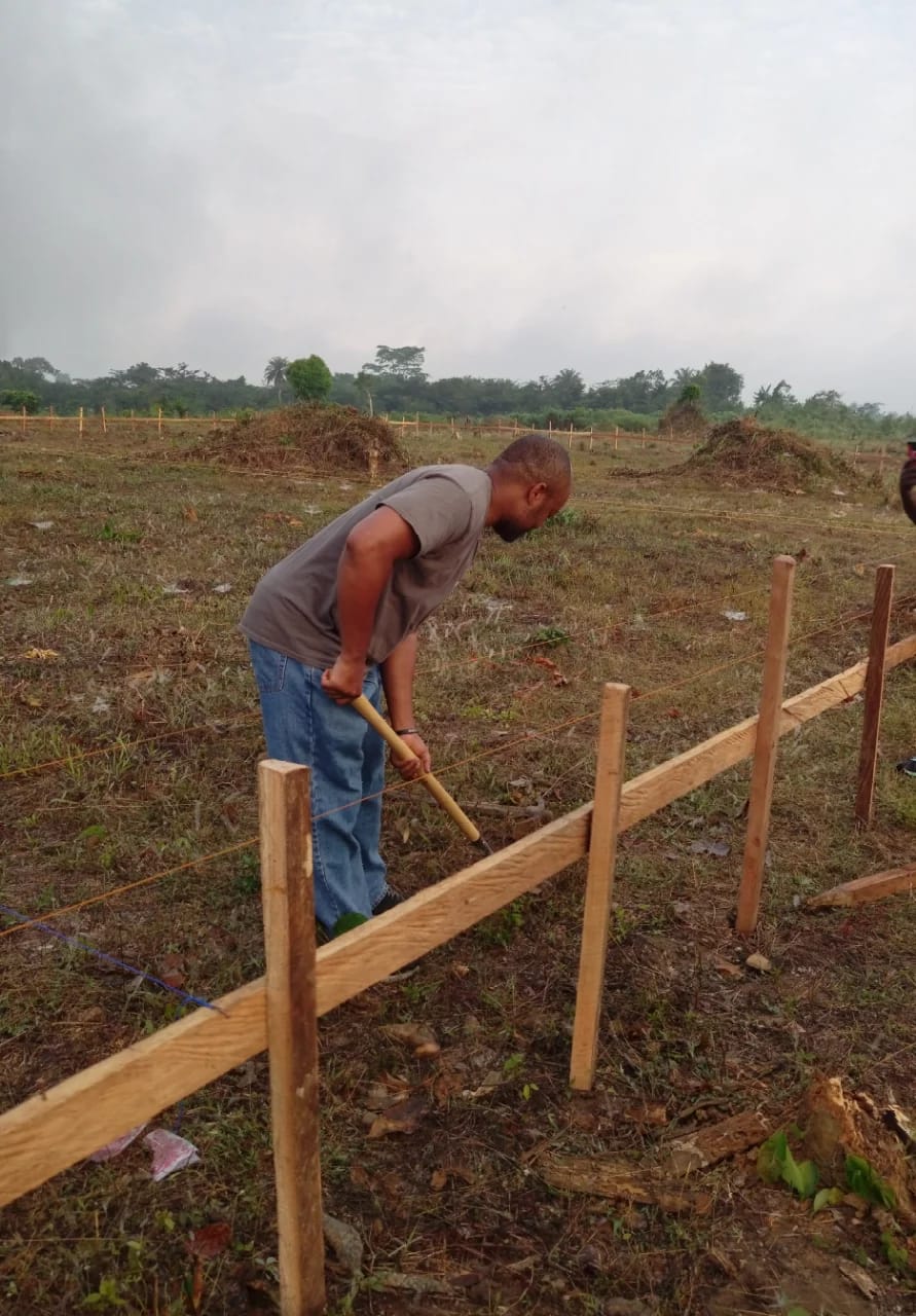 WhatsApp Image 2026-03-21 at 11.45.15 PM